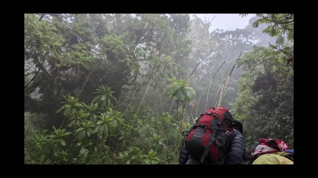 Mount Kilimanjaro trekking landscape